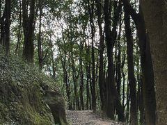 -大尖山公园