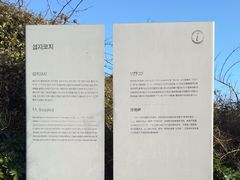 -涉地可支