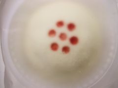 -祥禾饽饽铺·中式糕点(天津河东美福园店)
