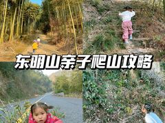 -东明山森林公园