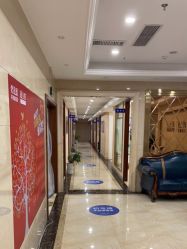 -碧莲盛·不剃发植发