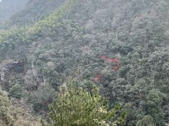 -安吉龙王山风景区