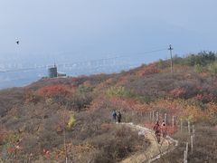 -北京西山国家森林公园