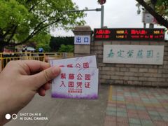-嘉定紫藤园