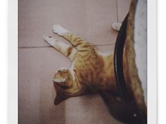 -厝内小眷村(天河南一路店)