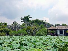 android_upload_pic-惠州西湖