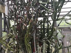 -南山植物园