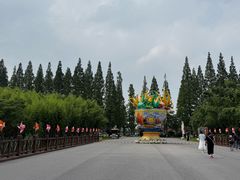 -黄海国家森林公园