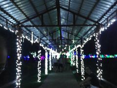 -广东花都香草世界旅游度假区