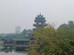 -桂湖森林公园