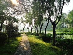 iphone_upload_pic-楚秀园