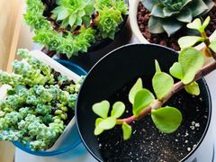 -首开·龙湖成都西宸天街