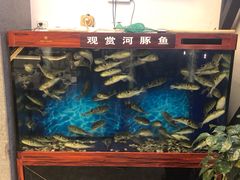 水产区-肆月河豚·新淮扬(金融街店)