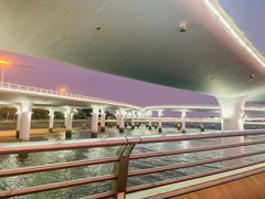 -演武大桥观景平台