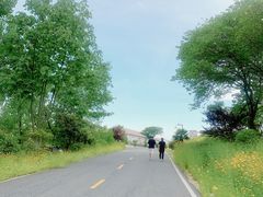 -汤山温泉房车营地 茶温泉