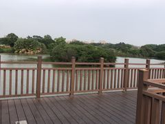 -海上田园