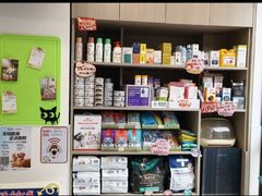 -宠物星动物医院·眼科·异宠·猫科(江南大道总院)