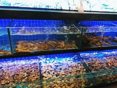 -透明思烤·自助烤肉海鲜火锅(东部星悦天地店)