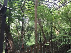 -玉女潭景区