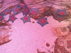 -沈阳海洋探索中心