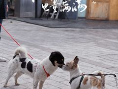 -DRUNK BAKER(上海陕康里店)