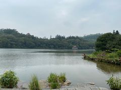-深圳仙湖植物园