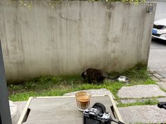 -PAUSE CAFE(南秀村店)