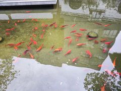 -麒麟小院·老九江菜(安平路店)