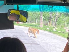 -西安秦岭野生动物园