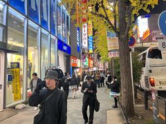 -秋叶原电器街