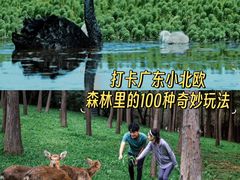 -佛冈森波拉度假区