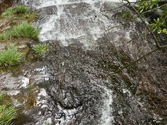 -龙苍沟森林公园