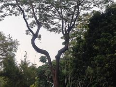 -人民公园(罗湖区)