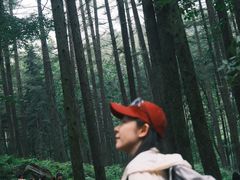 -洛阳白云山景区