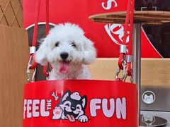 -DQ·蛋糕·冰淇淋(五角场万达店)