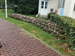 -上海交通大学（闵行校区）-李政道图书馆
