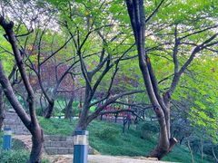 -北岭山森林公园