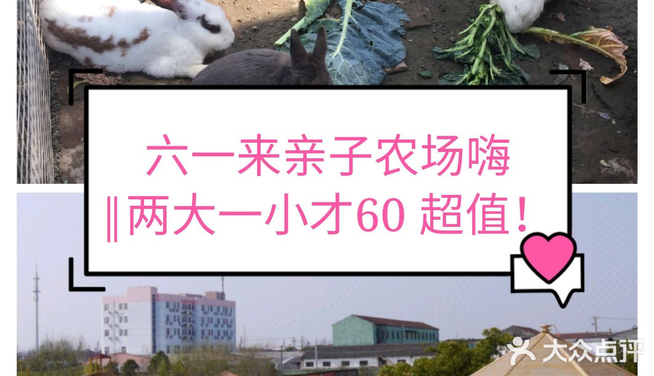 ️免预约 ️适合10岁以下的儿童