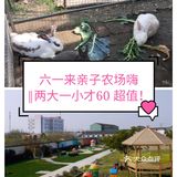 ️免预约 ️适合10岁以下的儿童