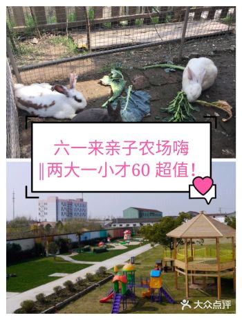 ️免预约 ️适合10岁以下的儿童
