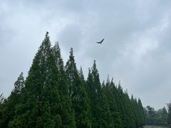 -蜀绣公园
