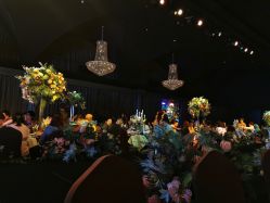 -格乐利雅婚礼艺术中心(南外滩店)