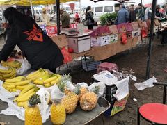 -蒲河大集