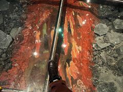 -烟台自然博物馆