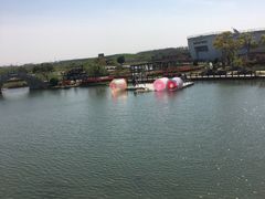 -上海鲜花港