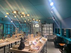 -Trend1881视光·蔡司视觉(领展广场店)