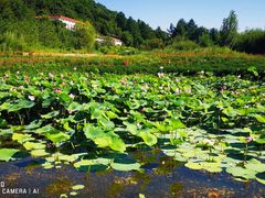 -六鼎山文化旅游区