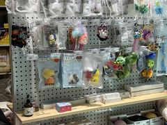 -momokira米努特·德文卷毛猫·棉花面纱犬