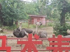 -西安秦岭野生动物园