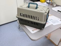 -爱佳宠物中心医院24H·CT·骨外科·猫专科(瑶海万达店)
